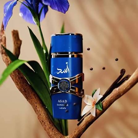 Silk and Sillage Lattafa Asad Zanzibar 100ml perfume bottle, alternate angle showing blue and silver design.